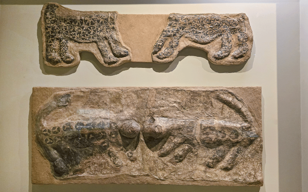 Anadolu Medeniyetleri Müzesi Çatalhöyük