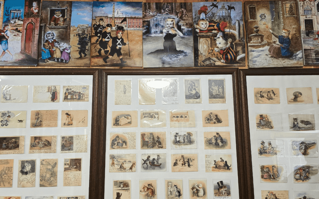 Cats Museum